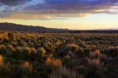 picuris-magic-hour-pano