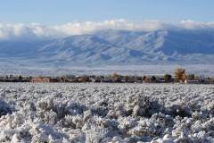 picuris-w-snow