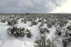 ranch-in-snow